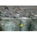 Bwg16 Single Electric Galvanzied Barbed Wire (Anping Factory)